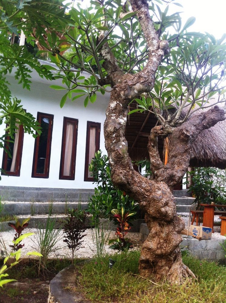 Villa Green House Ped Esterno foto