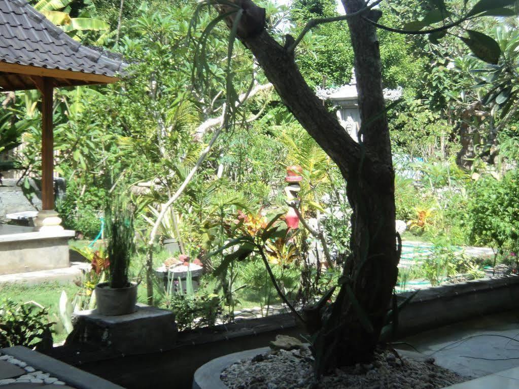 Villa Green House Ped Esterno foto
