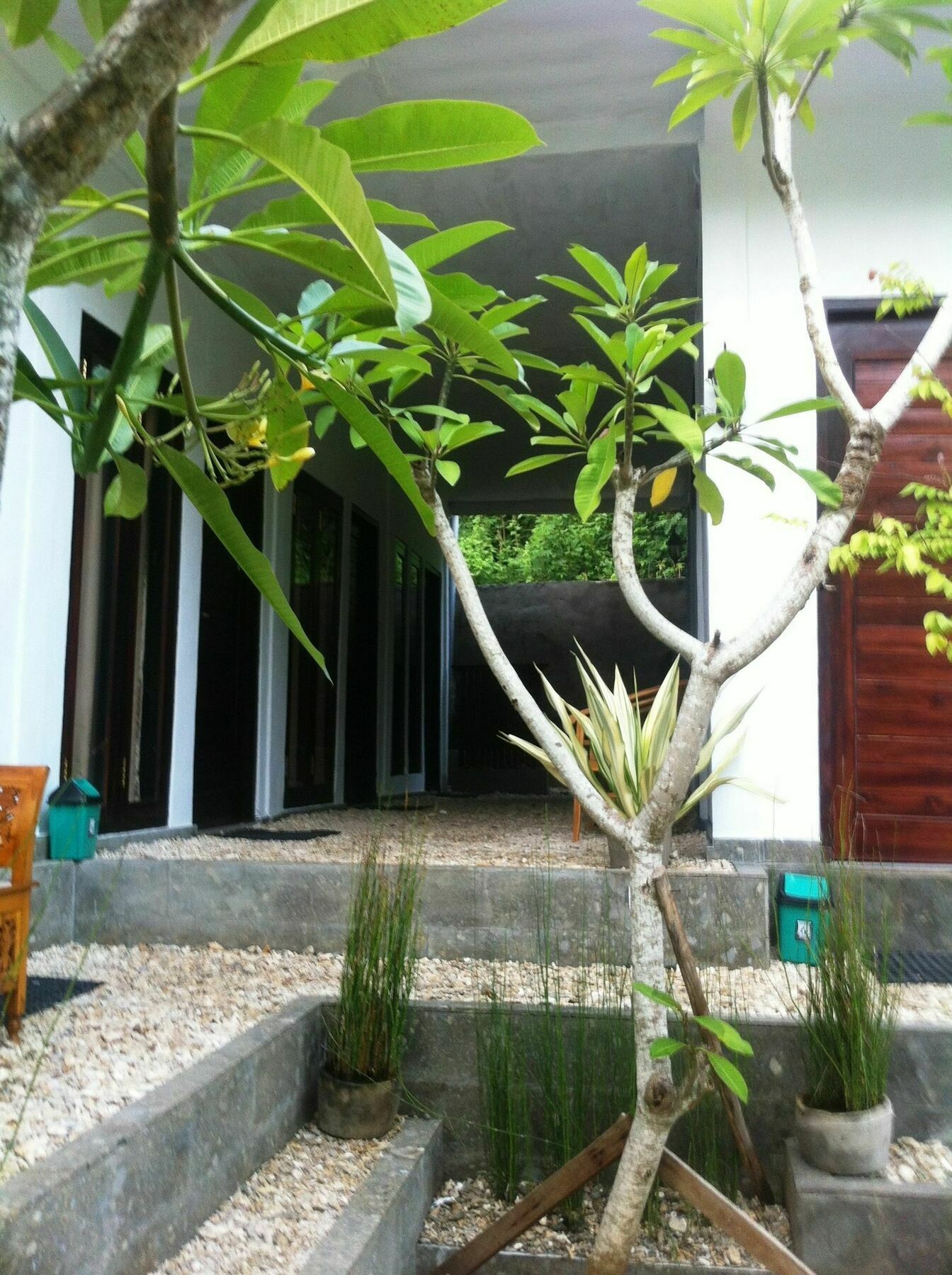 Villa Green House Ped Esterno foto