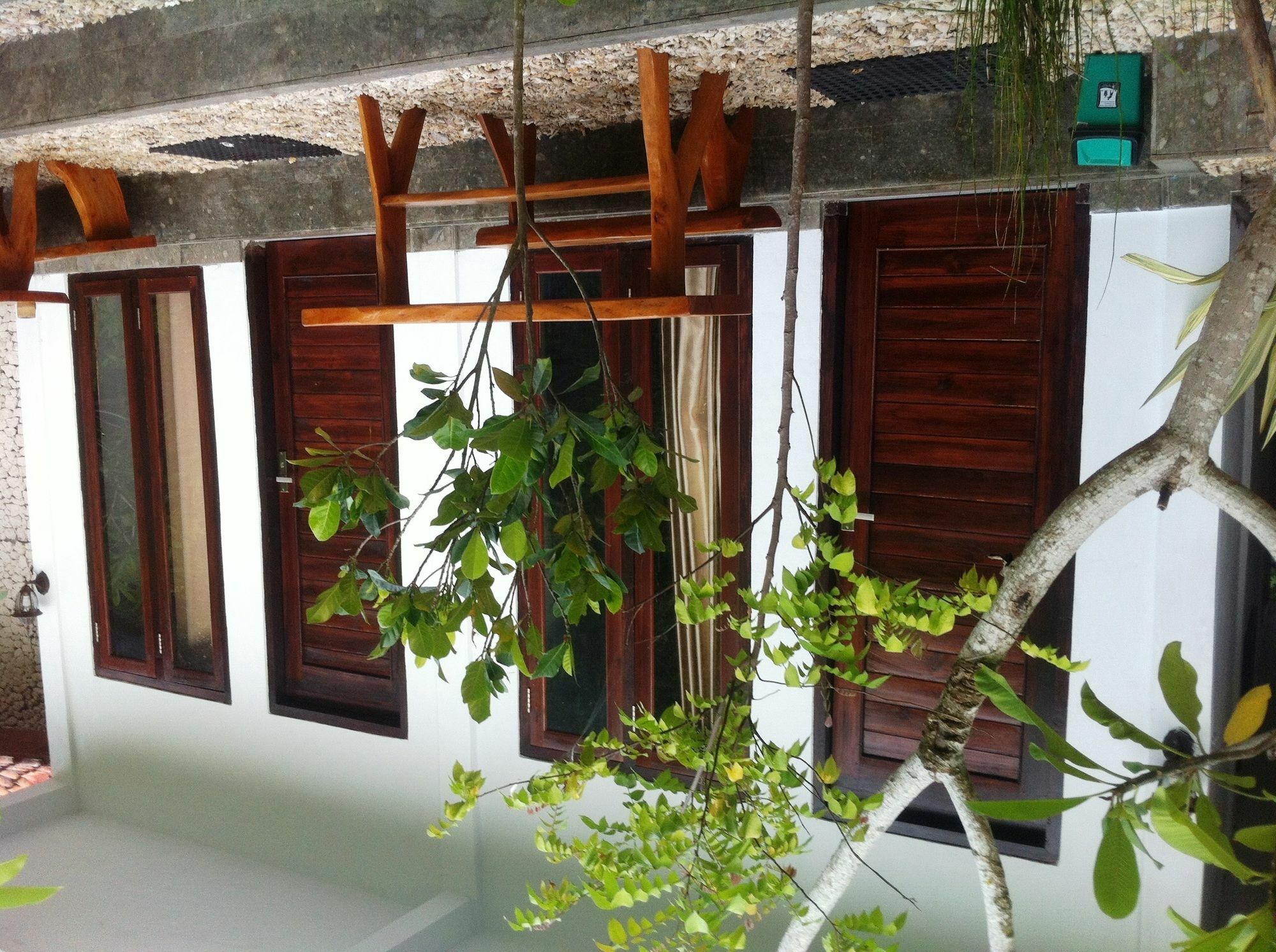 Villa Green House Ped Esterno foto